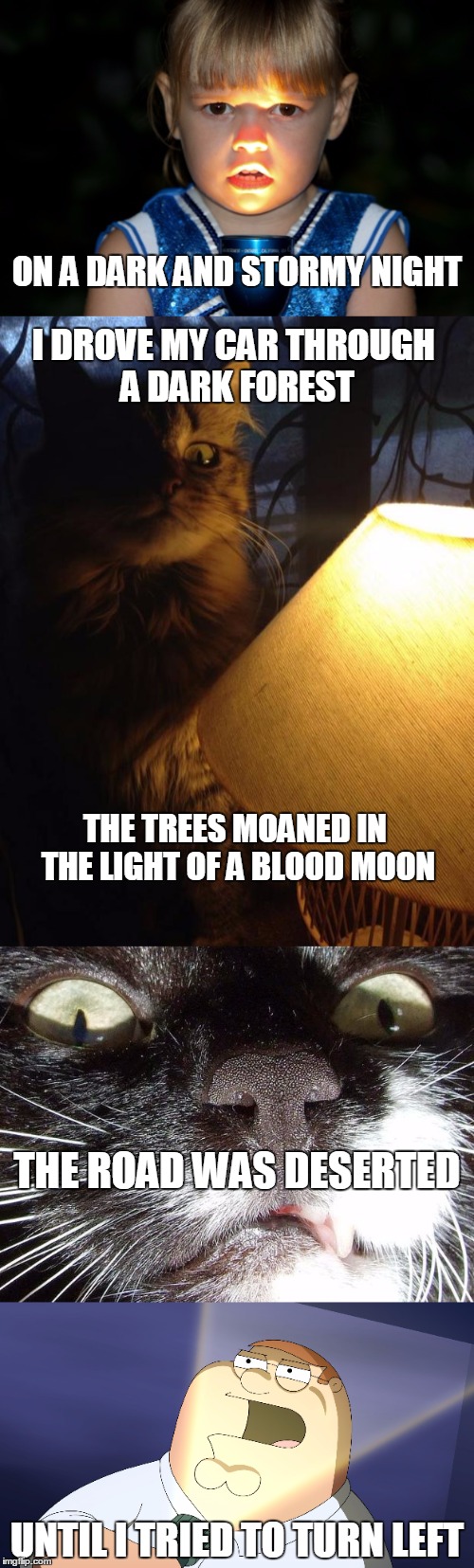 Scary Story | ON A DARK AND STORMY NIGHT; I DROVE MY CAR THROUGH A DARK FOREST; THE TREES MOANED IN THE LIGHT OF A BLOOD MOON; THE ROAD WAS DESERTED; UNTIL I TRIED TO TURN LEFT | image tagged in scary,spooky,cute cat,cute girl,car,horror | made w/ Imgflip meme maker