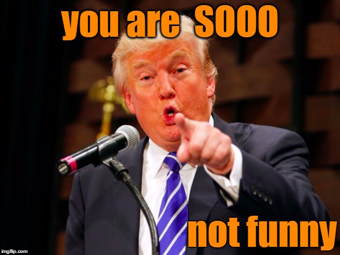 trump point | you are  SOOO not funny | image tagged in trump point | made w/ Imgflip meme maker