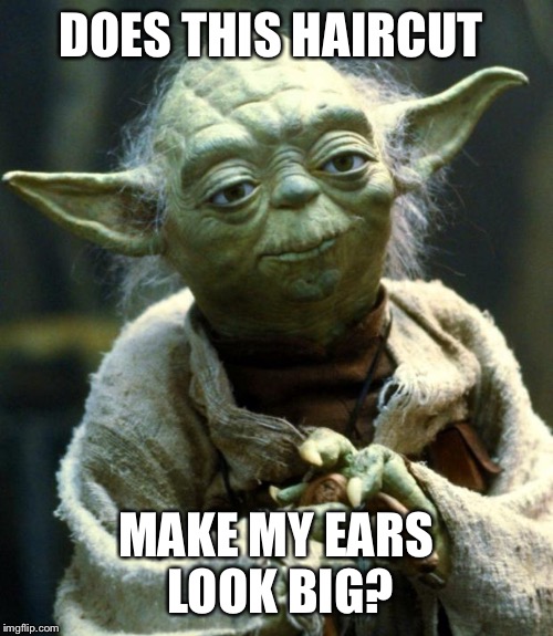 Star Wars Yoda | DOES THIS HAIRCUT; MAKE MY EARS LOOK BIG? | image tagged in memes,star wars yoda | made w/ Imgflip meme maker