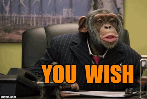 monkey bush | YOU  WISH | image tagged in monkey bush | made w/ Imgflip meme maker