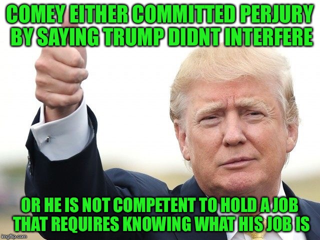 COMEY EITHER COMMITTED PERJURY BY SAYING TRUMP DIDNT INTERFERE OR HE IS NOT COMPETENT TO HOLD A JOB THAT REQUIRES KNOWING WHAT HIS JOB IS | image tagged in trump thumbs up | made w/ Imgflip meme maker