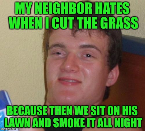 10 Guy | MY NEIGHBOR HATES WHEN I CUT THE GRASS; BECAUSE THEN WE SIT ON HIS LAWN AND SMOKE IT ALL NIGHT | image tagged in memes,10 guy,funny | made w/ Imgflip meme maker