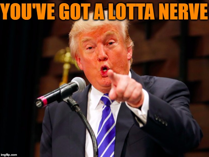 trump point | YOU'VE GOT A LOTTA NERVE | image tagged in trump point | made w/ Imgflip meme maker