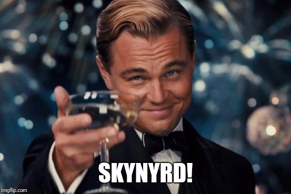 Leonardo Dicaprio Cheers Meme | SKYNYRD! | image tagged in memes,leonardo dicaprio cheers | made w/ Imgflip meme maker