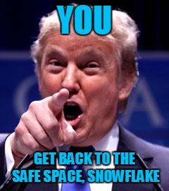 Trump Trademark | YOU; GET BACK TO THE SAFE SPACE, SNOWFLAKE | image tagged in trump trademark | made w/ Imgflip meme maker