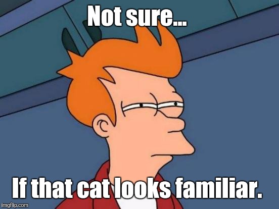 Futurama Fry Meme | Not sure... If that cat looks familiar. | image tagged in memes,futurama fry | made w/ Imgflip meme maker