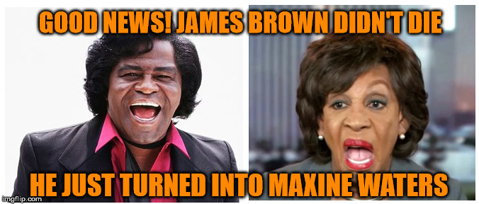 GOOD NEWS! JAMES BROWN DIDN'T DIE; HE JUST TURNED INTO MAXINE WATERS | image tagged in politics,funny | made w/ Imgflip meme maker