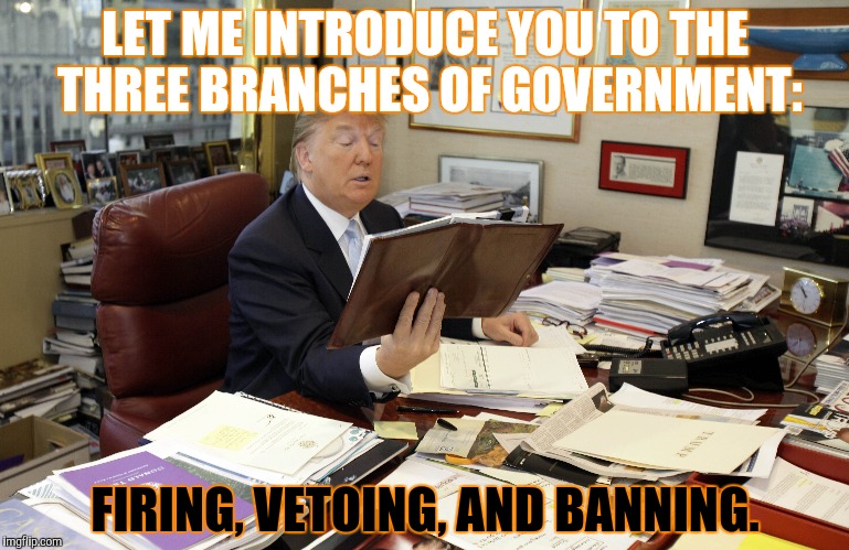 LET ME INTRODUCE YOU TO THE THREE BRANCHES OF GOVERNMENT: FIRING, VETOING, AND BANNING. | made w/ Imgflip meme maker