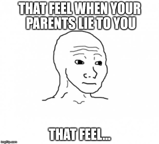 That Feel Guy | THAT FEEL WHEN YOUR PARENTS LIE TO YOU; THAT FEEL... | image tagged in that feel guy | made w/ Imgflip meme maker