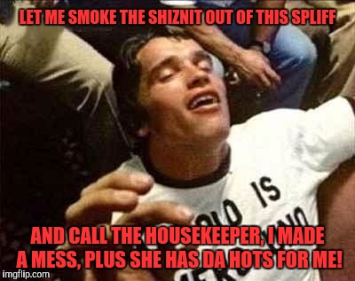 Da High Life! | LET ME SMOKE THE SHIZNIT OUT OF THIS SPLIFF; AND CALL THE HOUSEKEEPER, I MADE A MESS, PLUS SHE HAS DA HOTS FOR ME! | image tagged in arnold high,memes,funny,funny memes,arnold schwarzenegger | made w/ Imgflip meme maker