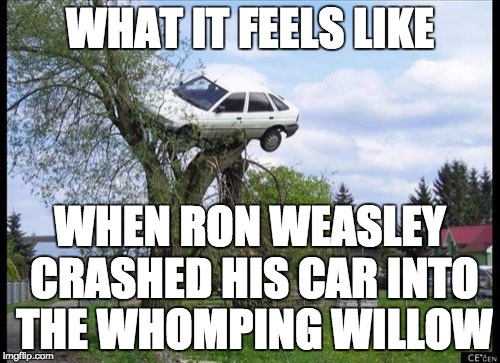 When magic is not on your side | WHAT IT FEELS LIKE; WHEN RON WEASLEY CRASHED HIS CAR INTO THE WHOMPING WILLOW | image tagged in memes,secure parking | made w/ Imgflip meme maker