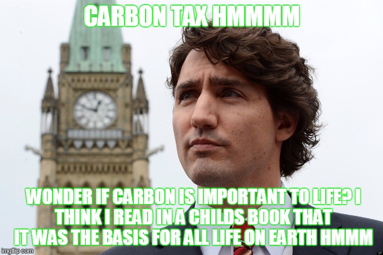 Truedump | CARBON TAX HMMMM; WONDER IF CARBON IS IMPORTANT TO LIFE?
I THINK I READ IN A CHILDS BOOK THAT IT WAS THE BASIS FOR ALL LIFE ON EARTH HMMM | image tagged in truedump | made w/ Imgflip meme maker