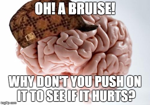 YOW!!! Stupid brain! | OH! A BRUISE! WHY DON'T YOU PUSH ON IT TO SEE IF IT HURTS? | image tagged in memes,scumbag brain | made w/ Imgflip meme maker
