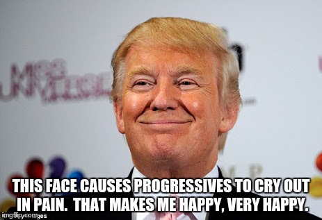 Donald trump approves | THIS FACE CAUSES PROGRESSIVES TO CRY OUT IN PAIN.  THAT MAKES ME HAPPY, VERY HAPPY. | image tagged in donald trump approves | made w/ Imgflip meme maker