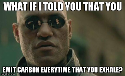 Matrix Morpheus Meme | WHAT IF I TOLD YOU THAT YOU EMIT CARBON EVERYTIME THAT YOU EXHALE? | image tagged in memes,matrix morpheus | made w/ Imgflip meme maker