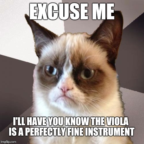 Me when people mock violas | EXCUSE ME; I'LL HAVE YOU KNOW THE VIOLA IS A PERFECTLY FINE INSTRUMENT | image tagged in musically malicious grumpy cat,grumpy cat,memes,viola,music,thatbritishviolaguy | made w/ Imgflip meme maker