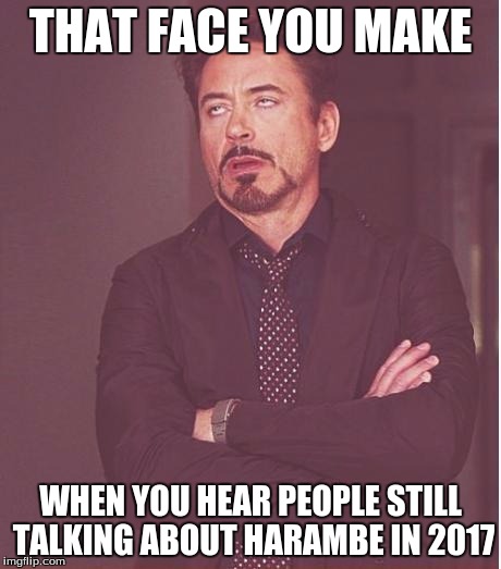 Face You Make Robert Downey Jr Meme | THAT FACE YOU MAKE; WHEN YOU HEAR PEOPLE STILL TALKING ABOUT HARAMBE IN 2017 | image tagged in memes,face you make robert downey jr | made w/ Imgflip meme maker