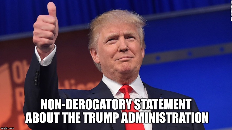 Troll Bait | NON-DEROGATORY STATEMENT ABOUT THE TRUMP ADMINISTRATION | image tagged in trump thumbs up,republican,politics,liberals,democrats,memes | made w/ Imgflip meme maker