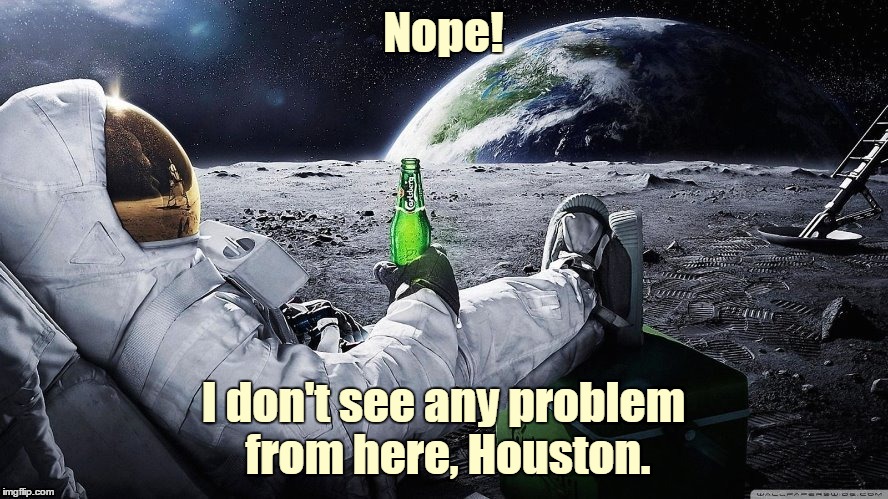 Nope! I don't see any problem from here, Houston. | made w/ Imgflip meme maker