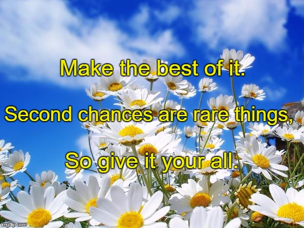 spring daisy flowers |  Make the best of it. Second chances are rare things, So give it your all. | image tagged in spring daisy flowers | made w/ Imgflip meme maker