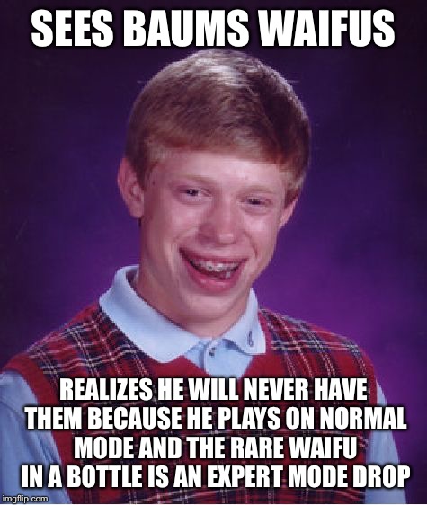 Bad Luck Brian Meme | SEES BAUMS WAIFUS; REALIZES HE WILL NEVER HAVE THEM BECAUSE HE PLAYS ON NORMAL MODE AND THE RARE WAIFU IN A BOTTLE IS AN EXPERT MODE DROP | image tagged in memes,bad luck brian | made w/ Imgflip meme maker