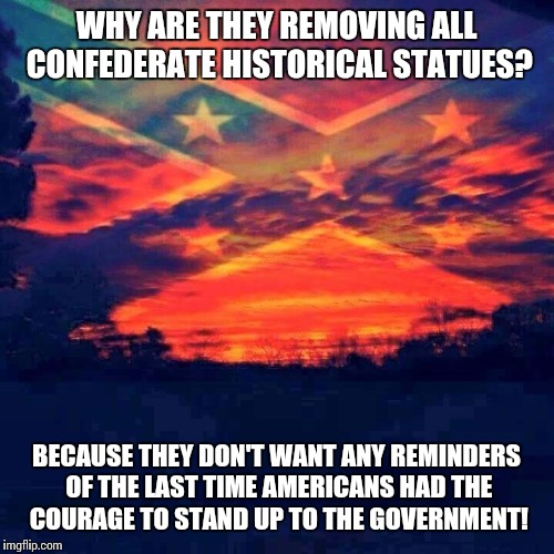If you erase the history books, then it never happened!...right? | WHY ARE THEY REMOVING ALL CONFEDERATE HISTORICAL STATUES? BECAUSE THEY DON'T WANT ANY REMINDERS OF THE LAST TIME AMERICANS HAD THE COURAGE TO STAND UP TO THE GOVERNMENT! | image tagged in confederate sky,southern pride,liberal logic,safespaces,truth | made w/ Imgflip meme maker
