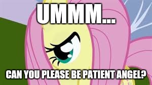 Shy Fluttershy | UMMM... CAN YOU PLEASE BE PATIENT ANGEL? | image tagged in shy fluttershy | made w/ Imgflip meme maker