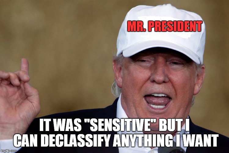 Donald Trump Blank MAGA Hat | MR. PRESIDENT IT WAS "SENSITIVE" BUT I CAN DECLASSIFY ANYTHING I WANT | image tagged in donald trump blank maga hat | made w/ Imgflip meme maker