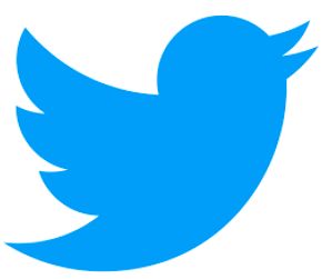 High Quality Twitter logo 2017 Blank Meme Template