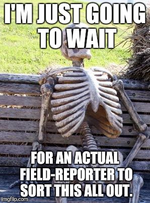 Waiting Skeleton Meme | I'M JUST GOING TO WAIT FOR AN ACTUAL FIELD-REPORTER TO SORT THIS ALL OUT. | image tagged in memes,waiting skeleton | made w/ Imgflip meme maker