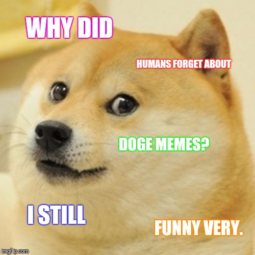 Doge Meme | WHY DID; HUMANS FORGET ABOUT; DOGE MEMES? I STILL; FUNNY VERY. | image tagged in memes,doge | made w/ Imgflip meme maker