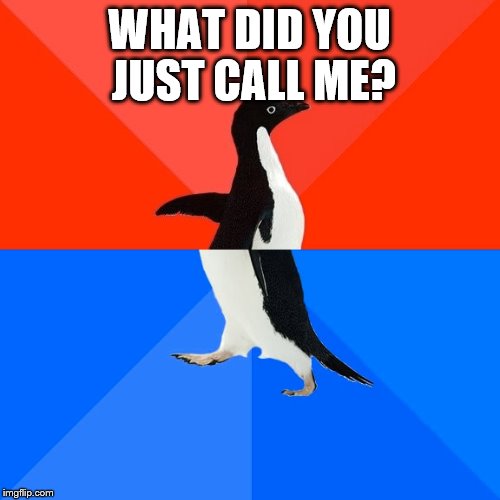 Socially Awesome Awkward Penguin Meme | WHAT DID YOU JUST CALL ME? | image tagged in memes,socially awesome awkward penguin | made w/ Imgflip meme maker