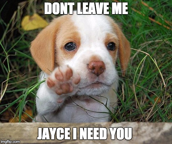 dog puppy bye | DONT LEAVE ME; JAYCE I NEED YOU | image tagged in dog puppy bye | made w/ Imgflip meme maker