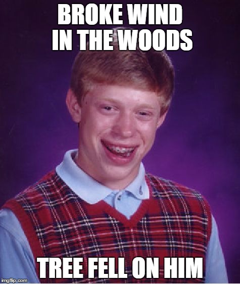 Bad Luck Brian | BROKE WIND IN THE WOODS; TREE FELL ON HIM | image tagged in memes,bad luck brian | made w/ Imgflip meme maker