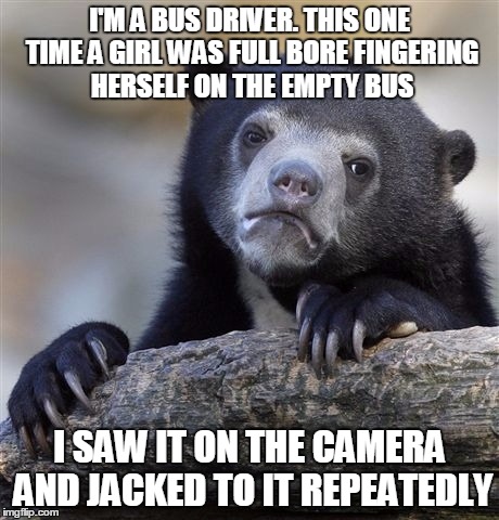Confession Bear Meme | I'M A BUS DRIVER. THIS ONE TIME A GIRL WAS FULL BORE FINGERING HERSELF ON THE EMPTY BUS; I SAW IT ON THE CAMERA AND JACKED TO IT REPEATEDLY | image tagged in memes,confession bear | made w/ Imgflip meme maker