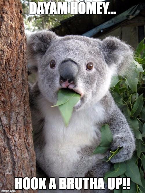 Surprised Koala | DAYAM HOMEY... HOOK A BRUTHA UP!! | image tagged in memes,surprised koala | made w/ Imgflip meme maker