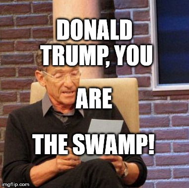 Maury Lie Detector Meme | DONALD TRUMP, YOU; ARE; THE SWAMP! | image tagged in memes,maury lie detector | made w/ Imgflip meme maker