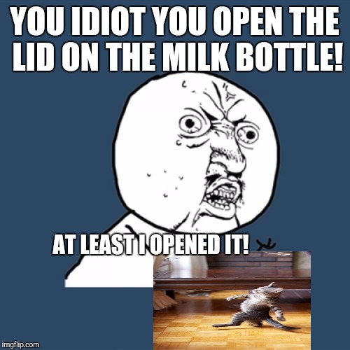 Y U No Meme | YOU IDIOT YOU OPEN THE LID ON THE MILK BOTTLE! AT LEAST I OPENED IT! | image tagged in memes,y u no | made w/ Imgflip meme maker