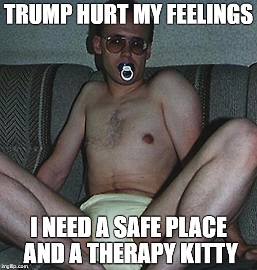 TRUMP HURT MY FEELINGS; I NEED A SAFE PLACE AND A THERAPY KITTY | image tagged in rev | made w/ Imgflip meme maker