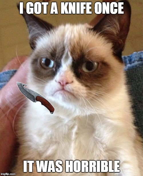 Grumpy Cat | I GOT A KNIFE ONCE; IT WAS HORRIBLE | image tagged in memes,grumpy cat | made w/ Imgflip meme maker