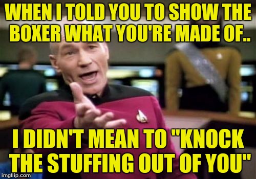 Picard Wtf | WHEN I TOLD YOU TO SHOW THE BOXER WHAT YOU'RE MADE OF.. I DIDN'T MEAN TO "KNOCK THE STUFFING OUT OF YOU" | image tagged in memes,picard wtf | made w/ Imgflip meme maker