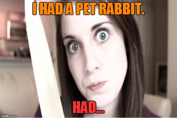 I HAD A PET RABBIT. HAD... | made w/ Imgflip meme maker