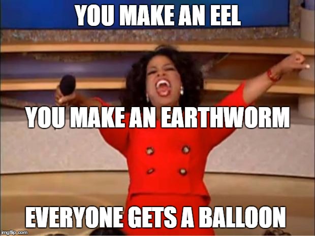 Oprah You Get A Meme | YOU MAKE AN EEL EVERYONE GETS A BALLOON YOU MAKE AN EARTHWORM | image tagged in memes,oprah you get a | made w/ Imgflip meme maker