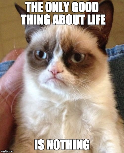 Grumpy Cat | THE ONLY GOOD THING ABOUT LIFE; IS NOTHING | image tagged in memes,grumpy cat | made w/ Imgflip meme maker
