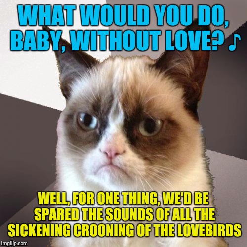 Musically Malicious Grumpy Cat |  WHAT WOULD YOU DO, BABY, WITHOUT LOVE? ♪; WELL, FOR ONE THING, WE'D BE SPARED THE SOUNDS OF ALL THE SICKENING CROONING OF THE LOVEBIRDS | image tagged in musically malicious grumpy cat,grumpy cat | made w/ Imgflip meme maker