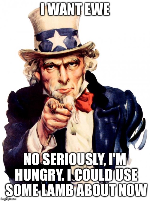 Uncle Sam Meme | I WANT EWE; NO SERIOUSLY, I'M HUNGRY. I COULD USE SOME LAMB ABOUT NOW | image tagged in memes,uncle sam | made w/ Imgflip meme maker