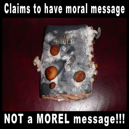 If you don't read your bible regularly, a plague of mushrooms will befall you | CLAIMS TO HAVE A MORAL MESSAGE; NOT A MOREL MESSAGE | image tagged in bible,plague,mushrooms,bad pun,memes | made w/ Imgflip meme maker