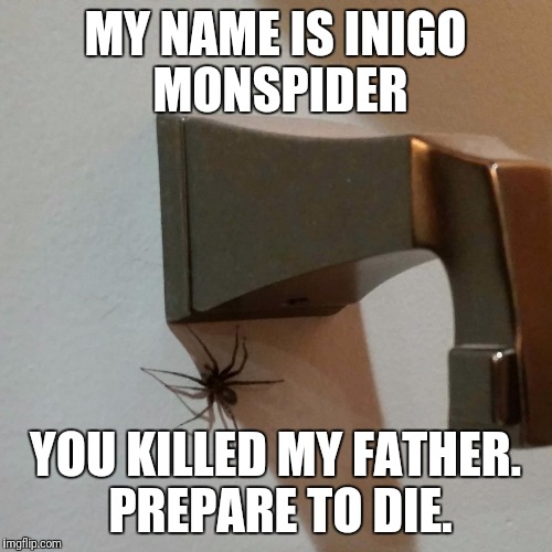 MY NAME IS INIGO MONSPIDER; YOU KILLED MY FATHER. PREPARE TO DIE. | image tagged in inigomontoya | made w/ Imgflip meme maker