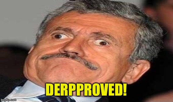 DERPPROVED! | made w/ Imgflip meme maker