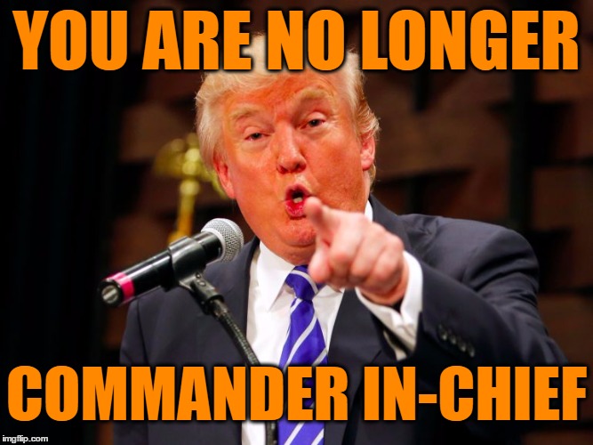 trump point | YOU ARE NO LONGER COMMANDER IN-CHIEF | image tagged in trump point | made w/ Imgflip meme maker